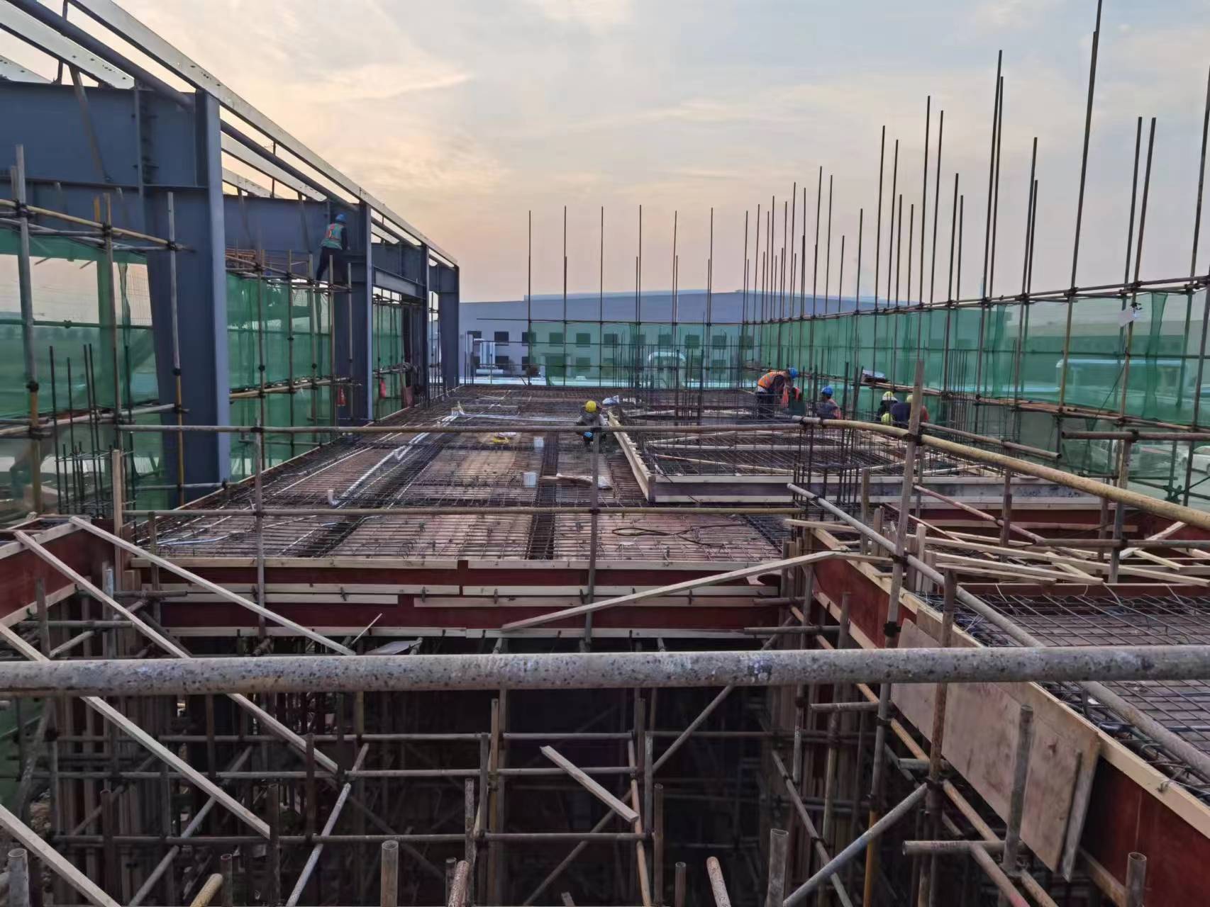 1698282917732331.jpg 1698282917732331.jpg